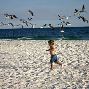 Meet your Posher, Kurtis